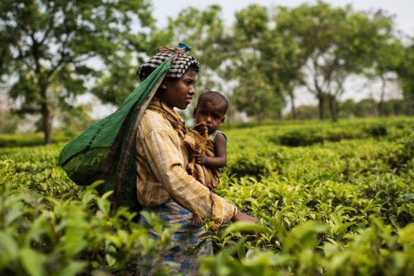 The Silent Threat: Climate Change’s Hidden Impacts on Human Health