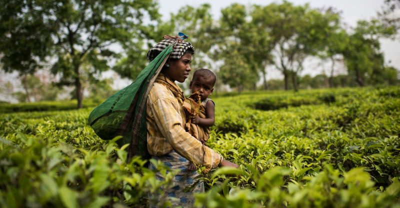 The Silent Threat: Climate Change’s Hidden Impacts on Human Health