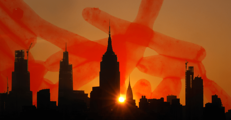 Legionnaires’ Disease: From NYC to Your Town? Climate Change Expands the Threat