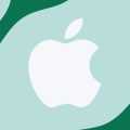Apple and Samsung: A Texas-Sized Partnership for iPhone Image Sensors