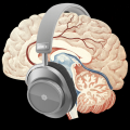 Mind-Reading Earbuds? The Future of Neurotech is Here (and it’s surprisingly wearable)