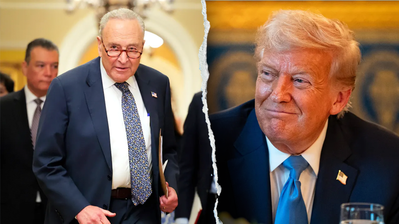 Trump’s Explosive Claim: Senate Democrats Holding Nominees Hostage for Funding?