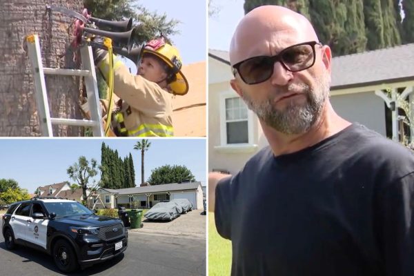 Train Horn Terror: LA Homeowner’s Sonic Warfare Against His Neighbors