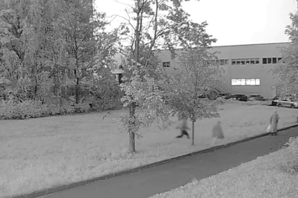 Elderly Woman, Bomb, and a Foiled Assassination Attempt: The St. Petersburg Plot Thickens