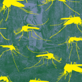 The Mosquito Menace: Climate Change Fuels a Vector-Borne Disease Crisis